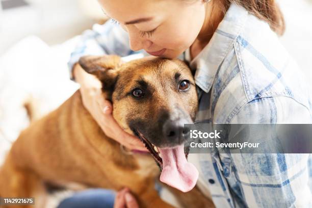 Young Woman Embracing Dog Stock Photo - Download Image Now - Dog, Stroking, Pets