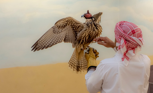 Doha,Qatar;January 16,2019.\n Proud Arab owner holds his valuable hunting Falcon in the Souk market in Doha, Qatar
