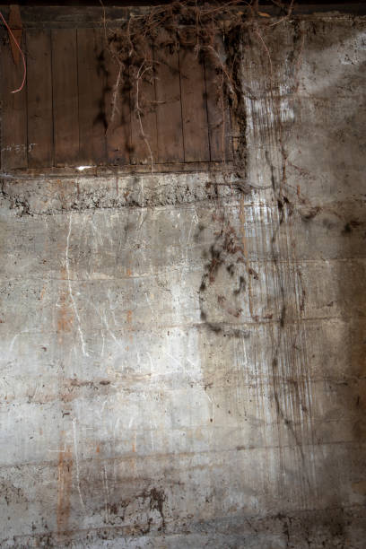 istock Grunge cement basement wall 1142922888