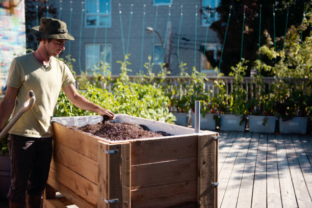Father and son built a roller box plant in a rooftop community garden