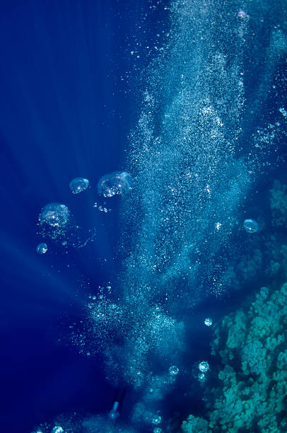 istock Raising underwater bubbles in the blue sea 114292789