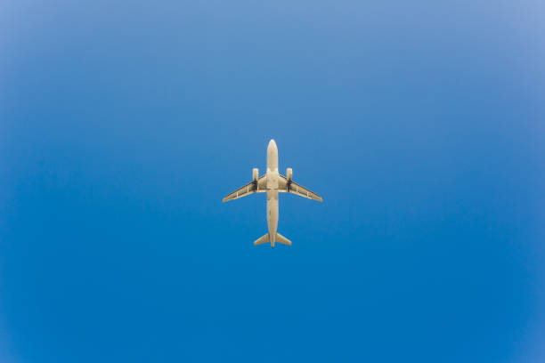 istock Airplane flying under blue sky and white cloud in Phuket, Thailand. 1142929719