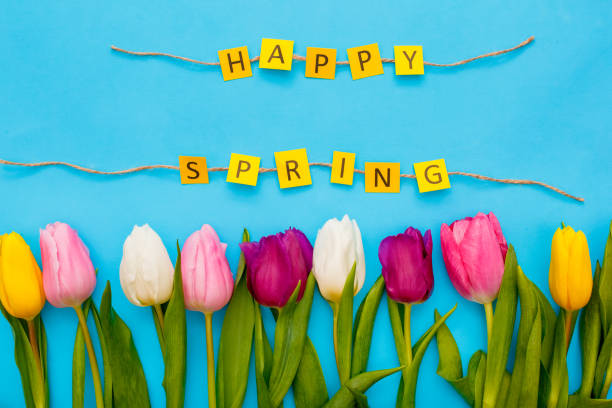 istock Easter traditional objects isolated on blue background tulips happy spring 1142929937