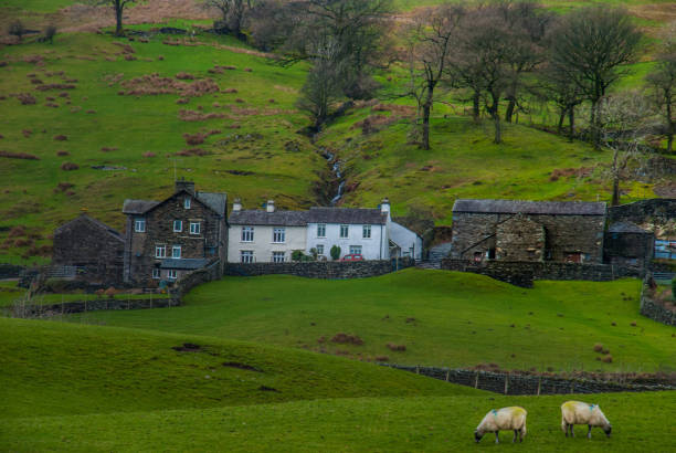 istock English countryside with sheep on the hillside 1142929995