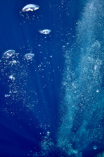 istock Raising underwater bubbles in the blue sea 114293070