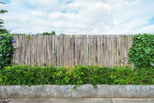 scena dello spazio di copia della recinzione di bambù - fence formal garden gardening ornamental garden foto e immagini stock