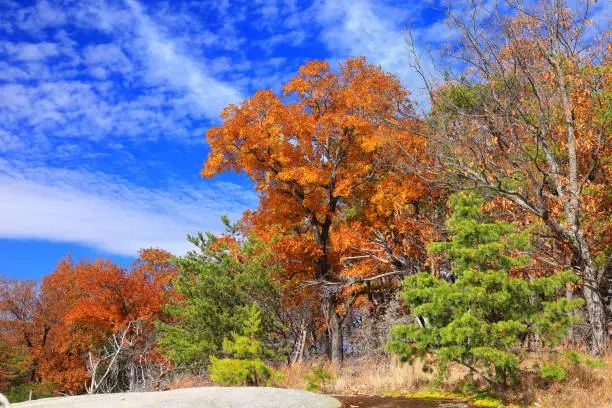 Fall colors at the top of Stone Mountain in Stone Mountain State Park, North Carolina