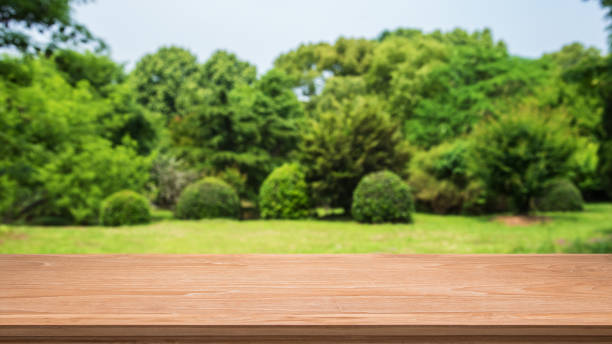 istock Empty wooden table and spring forest blur abstract background 1142939102