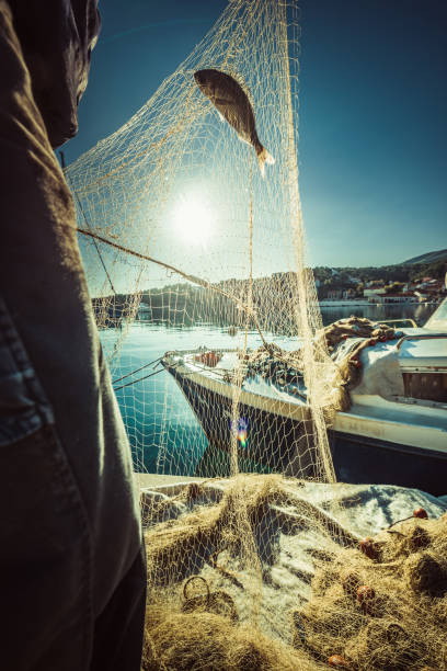 istock fisherman cleaning the fishnet 1142945207