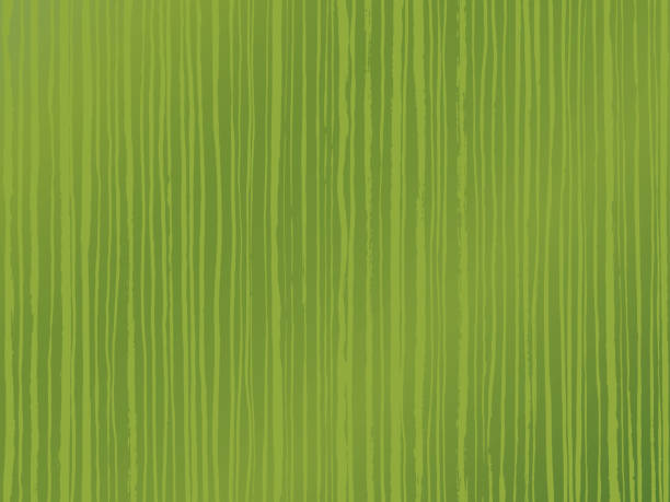 垂直ストライプの背景。緑茶のイメージ。抹茶。 - 抹茶点のイラスト素材／クリップアート素材／マンガ素材／アイコン素材