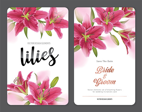 Blooming beautiful pink lily flowers background template. Vector set of blooming floral for wedding invitations, greeting card, voucher, brochures and banners design.