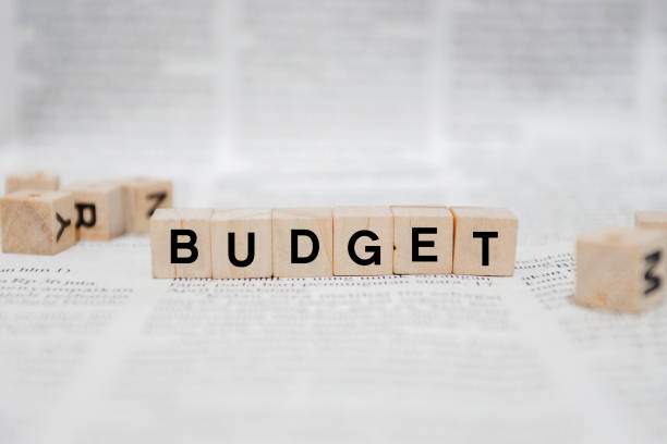 istock Budget Word Written In Wooden Cube - Newspaper 1142949008