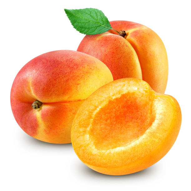 istock apricot fruits isolated 1142957246