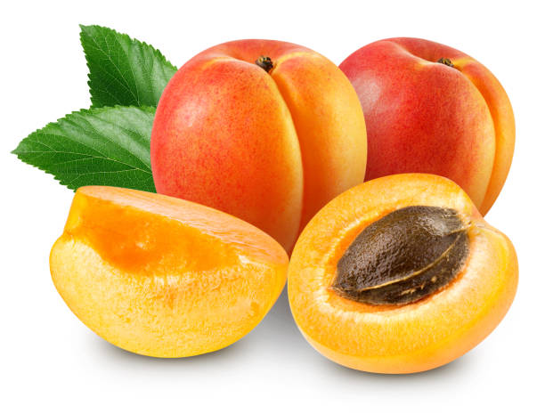 istock apricot fruits isolated 1142958001