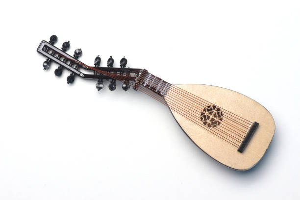 istock theorbo isolated on white background 1142958205