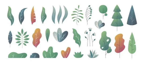 Vector illustration of Flat minimal leaves. Fantasy colors gradation, leaves bushes and trees design templates, nature gradient plants. Vector cute leaves