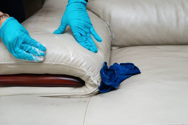 istock lady cleaning leather sofa with soapy sponge 1142959205