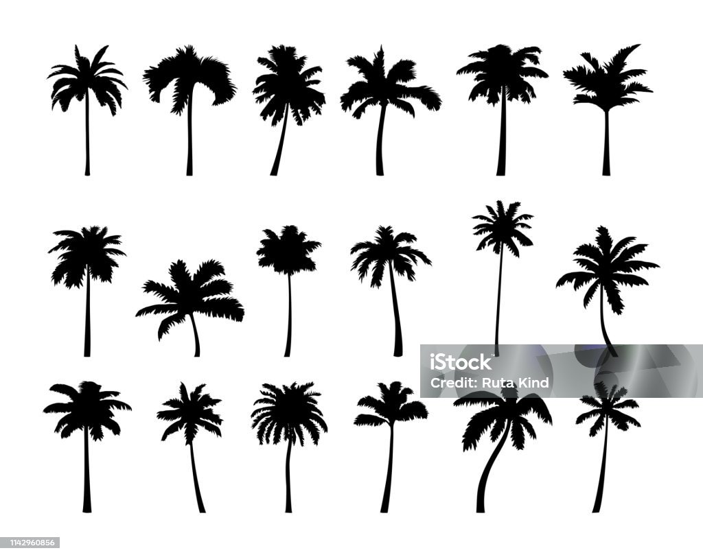 Jogo do ícone da silhueta da palmeira do coco. - Vetor de Palmeira royalty-free