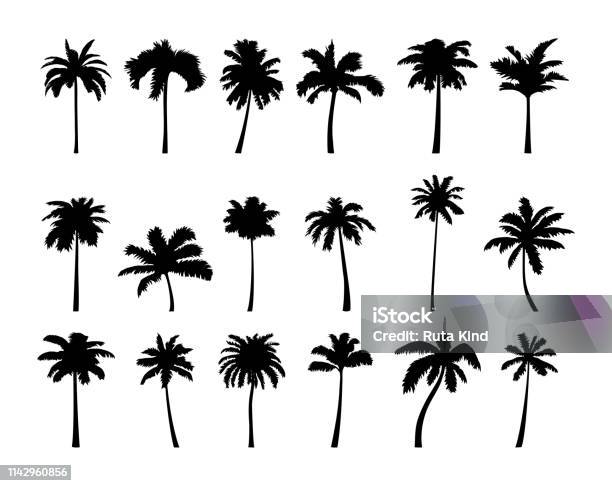 Vetores de Jogo Do Ícone Da Silhueta Da Palmeira Do Coco e mais imagens de Palmeira - Palmeira, Vector, Califórnia