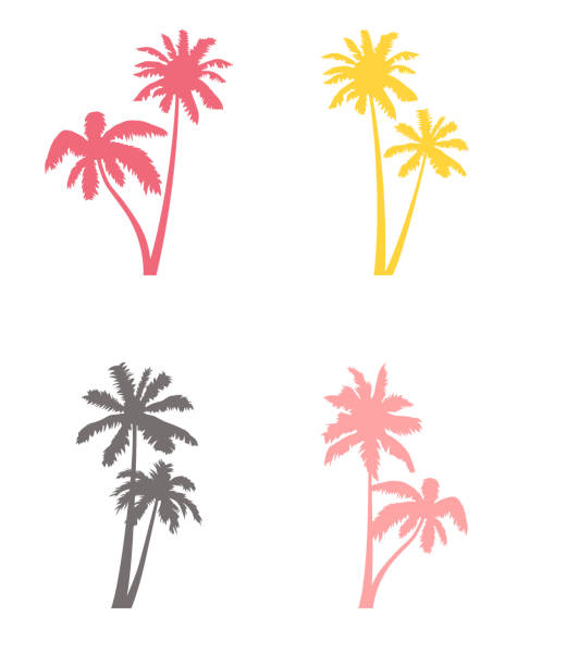 illustrations, cliparts, dessins animés et icônes de noix de coco palm tree silhouette icône ensemble. - palm tree leaf tree frond