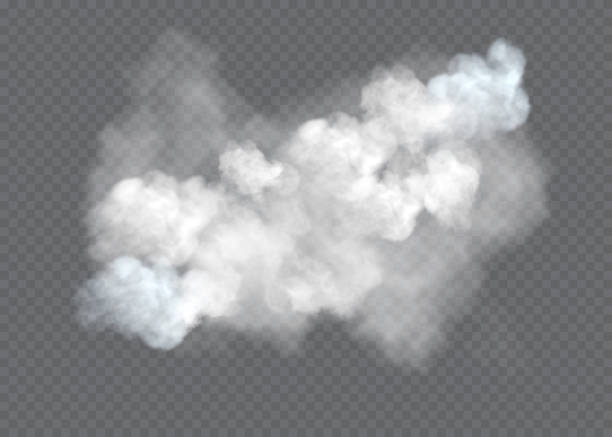 투명 특수 효과는 안개 또는 연기와 함께 눈에 띈다. 흰색 구름 벡터, 안개 또는 스모그 - 마술사 일러스트 stock illustrations