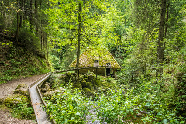 istock mill hut at Ravenna Gorge 1142965380