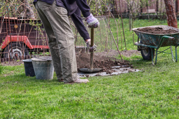 istock Summer worker is sifting soil through handmade sieve. Summer work. Landscaping the garden. Wheelbarrow full of clean earth. Manual hard work on garden. Regrouping earth. 1142967801