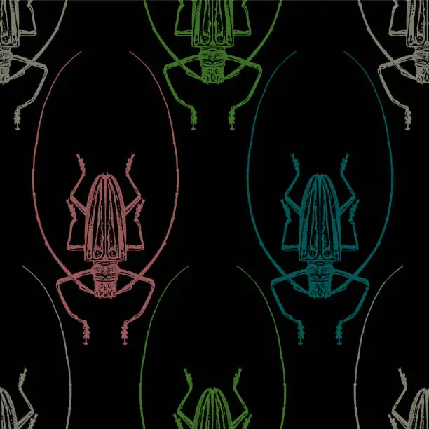 Vector illustration of Seamless pattern with insects. Color beetles on black background.