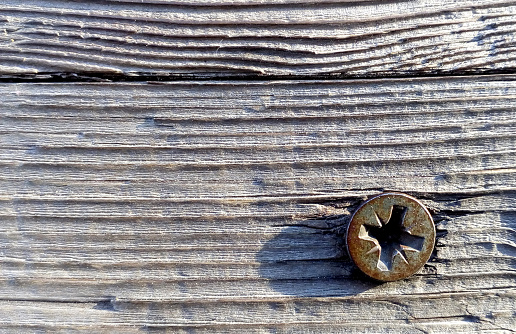 Screw head on wood background texture. Close up nature copy space. Macro photography.