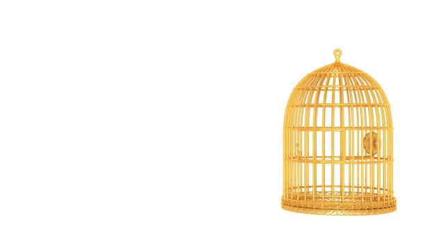 istock 3d rendering of a wired object in yellow on white 1142984800