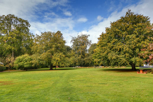 istock Farmleigh Park, Dublin, Ireland 1142984901