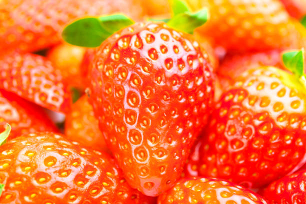 Ripe red juicy strawberries full frame shot in the studio