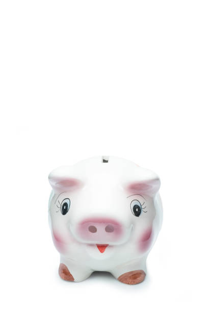 istock Cute Picky bank isolated on white background with Clipping Path. Saving Concept.. 1142988191