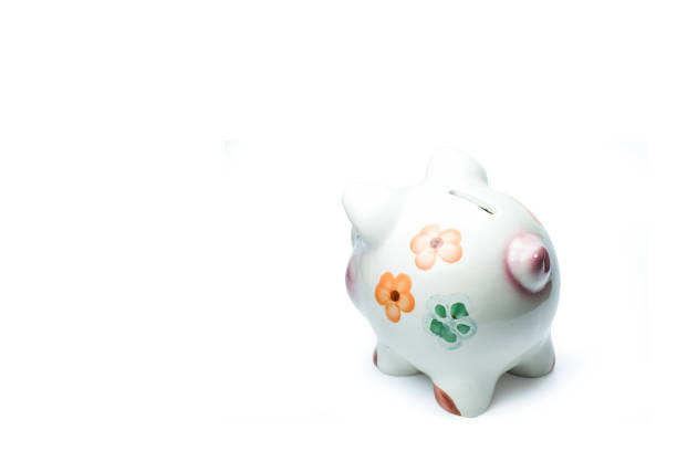 istock Cute Picky bank isolated on white background with Clipping Path. Saving Concept.. 1142988203