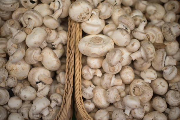 istock Mushrooms on the shop counter. 1142989781
