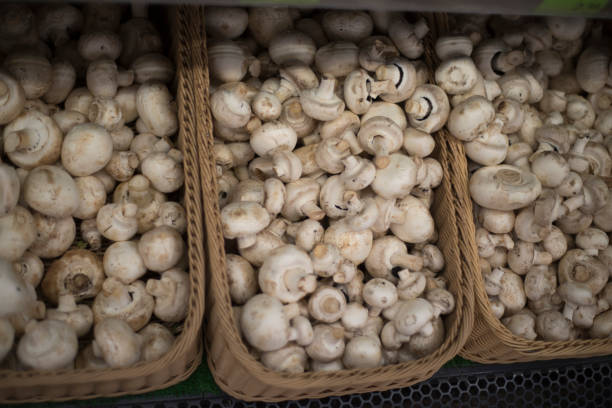 istock Mushrooms on the shop counter. 1142989795