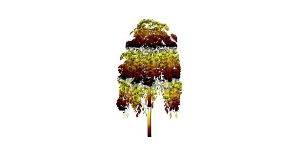 istock 3d rendering of a colorful plant on white 1142991255