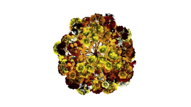 istock 3d rendering of a colorful plant on white 1142991263