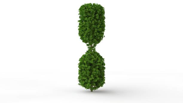 istock 3d rendering of a green plant isolated on white 1142992072