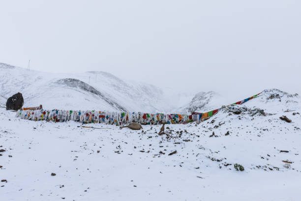 khatas bianchi innevati (o khatag) e bandiere di preghiera colorate al passo di montagna nagenla (o la ghan la) innevato sul nord dei monti nyenchen tanglha, damxung, lhasa, tibet - ghan pass foto e immagini stock