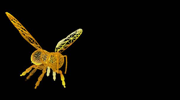 istock 3d rendering of an animal wireframe on a black background 1142994714