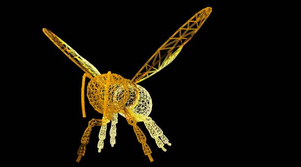 istock 3d rendering of an animal wireframe on a black background 1142996183