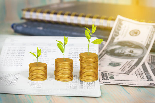 istock Tree growing on coins stack ,concept of investment growth. 1142996687