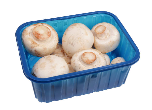 Fresh raw white Champignon mushrooms held by Caucasian male hand. Close up studio shot, isolated on blue background.