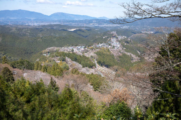 istock Cherry Blossoms of Mt. Yoshino 1143000303