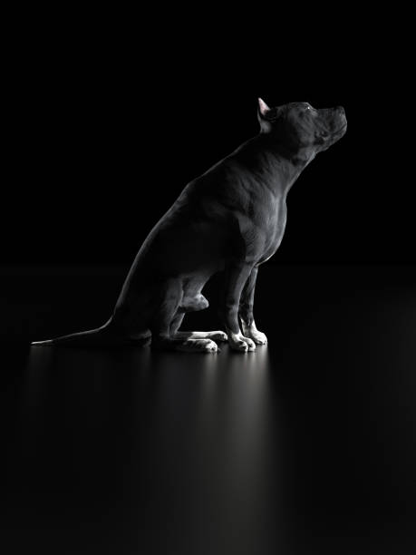 istock Pittbull  looking and checking up something up above 3d render 1143001640