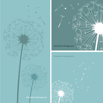 Vector of Silhouette of dandelion in green color background.
