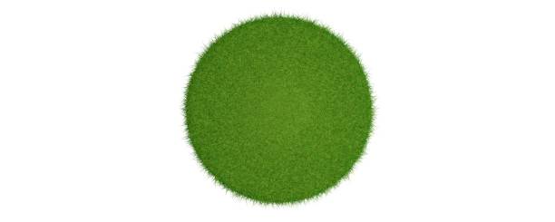 istock 3d rendering of a grass patch isolated on white 1143003558