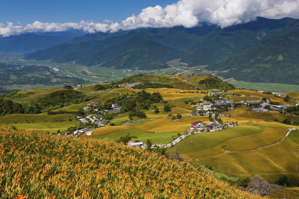 istock Hualien, Sixty stone mountain, Orange Daylily 1143006522