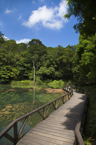 istock Yilan, Fushan Botanical Garden 1143006536